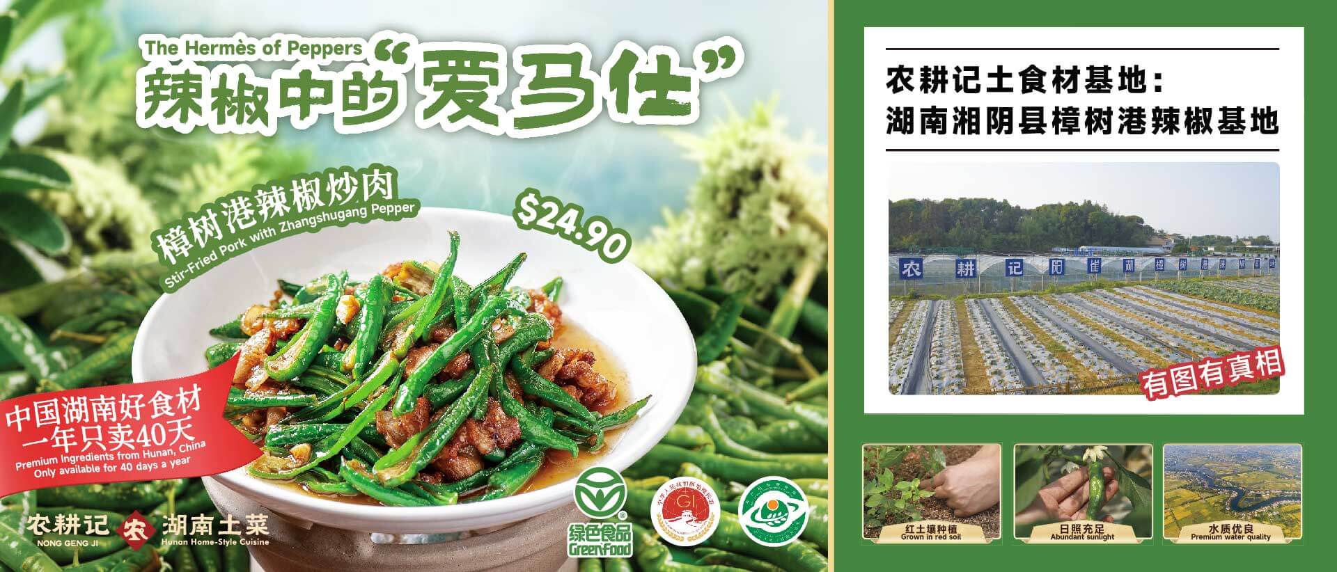 Stir Fried Pork with Zhangshugang Pepper
